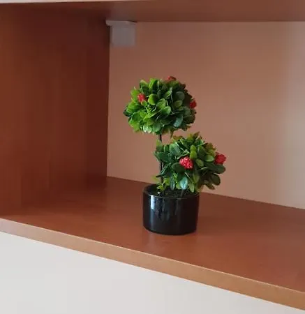 Elit 4 Apartments Sunny Beach