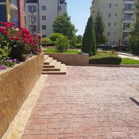 елит 4 *