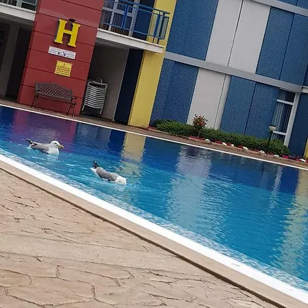 Elit 4 * Σάνι Μπιτς