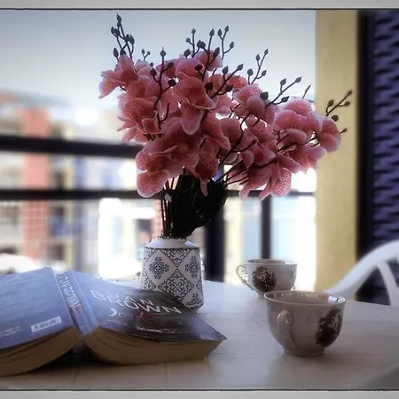 In Complex Elit 4 * Sunny Beach